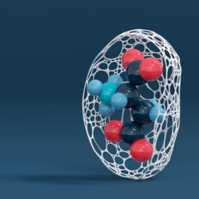 Primary competition visual