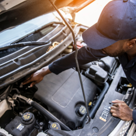 Primary competition visual