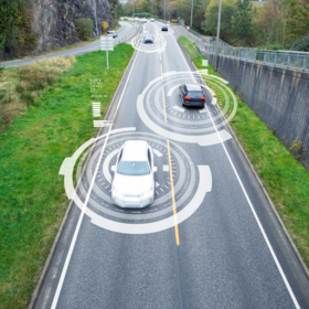 Primary competition visual