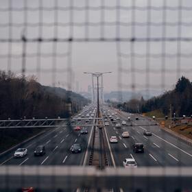 Primary competition visual