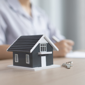 Primary competition visual