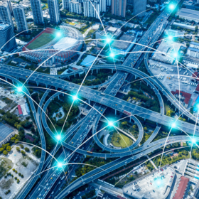 Primary competition visual