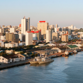 Primary competition visual