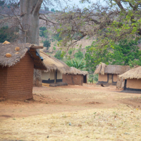 Primary competition visual