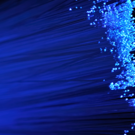 Primary competition visual