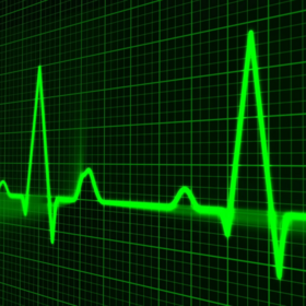 Primary competition visual