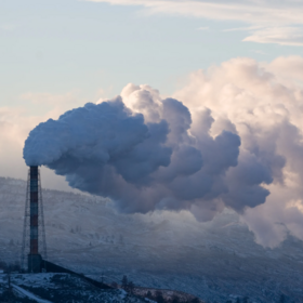 Primary competition visual