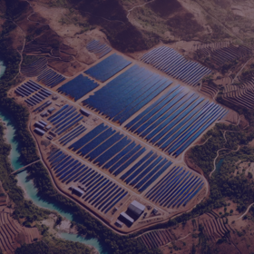 Primary competition visual