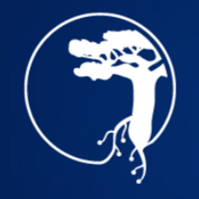 Primary competition visual