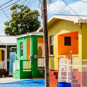 Primary competition visual