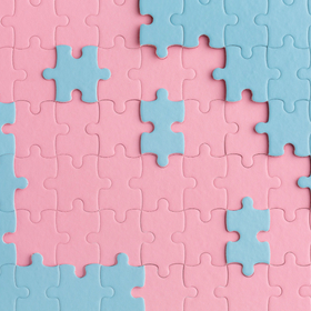 Primary competition visual