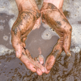 Primary competition visual