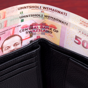 Primary competition visual