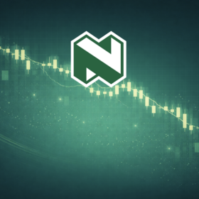 Primary competition visual