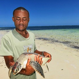 Primary competition visual